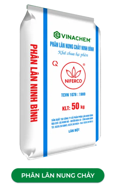 sản phâm 2